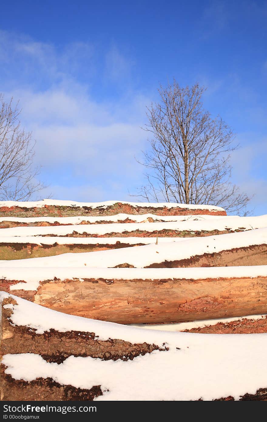 Snow Covered Stack Of Wood