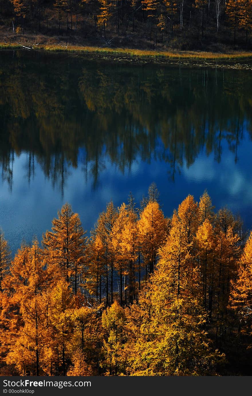 Lake and trees