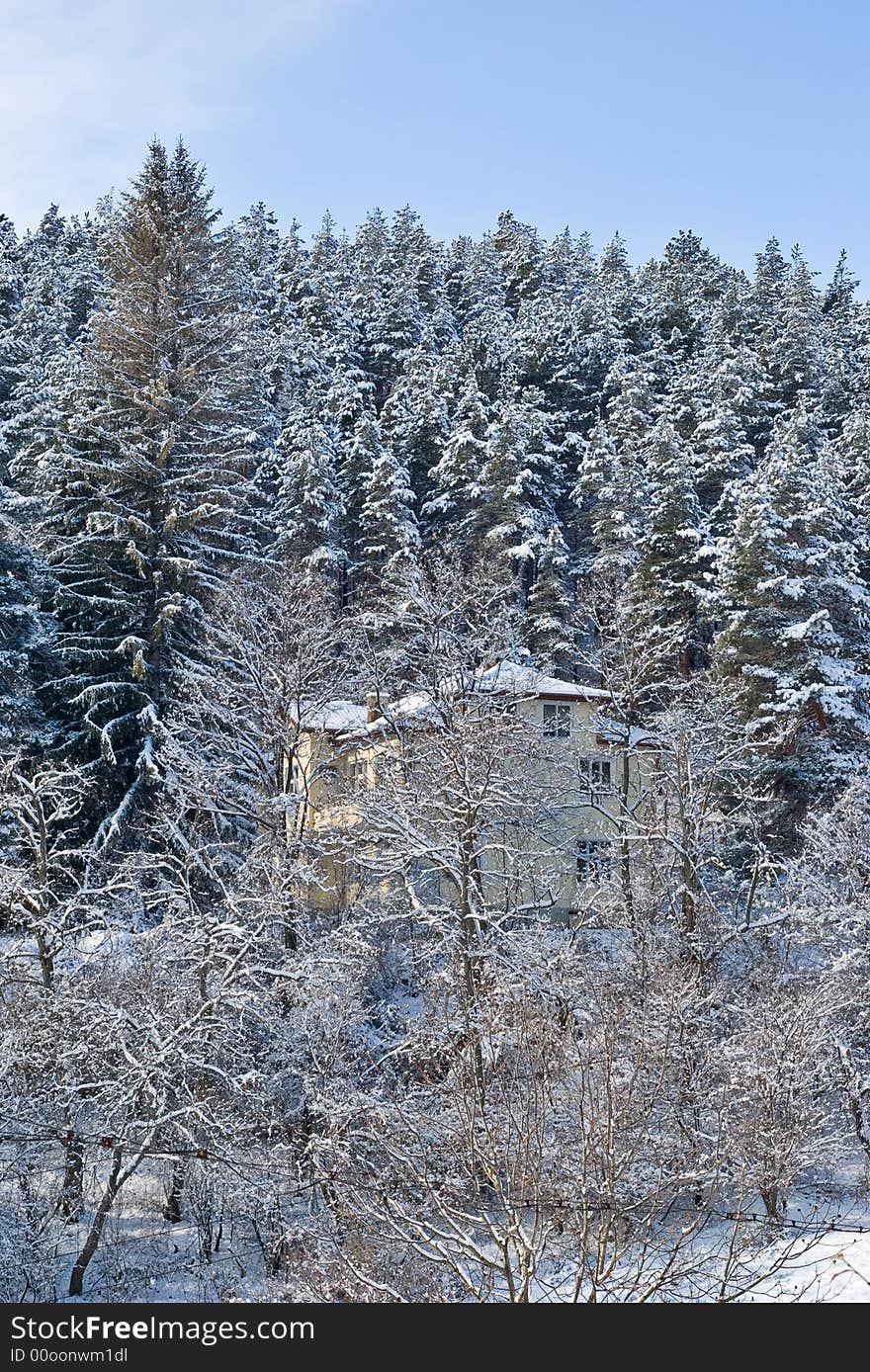 Chalet in the forest