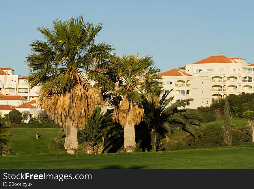 Hotel And Palm Trees