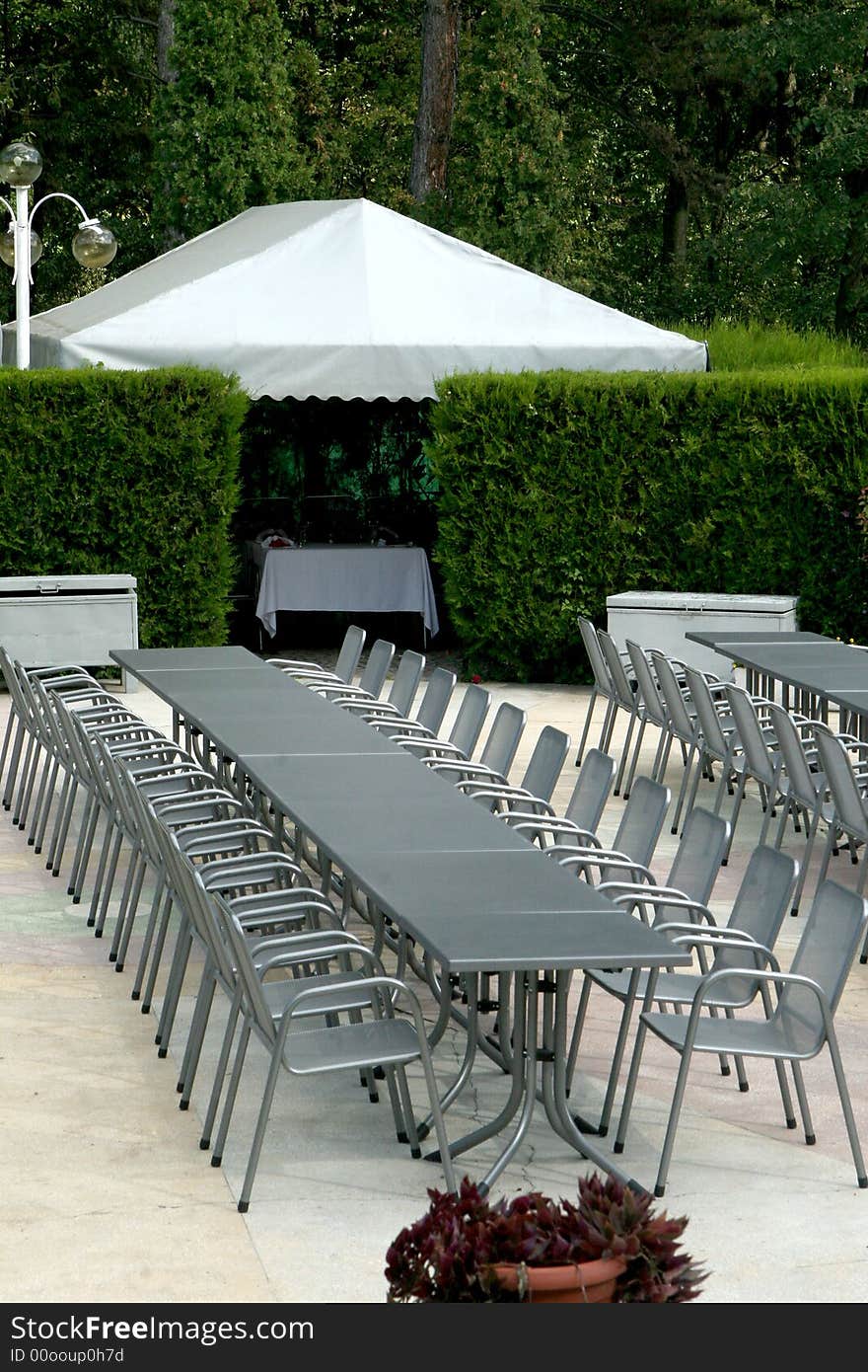 Many chairs and a table, in line