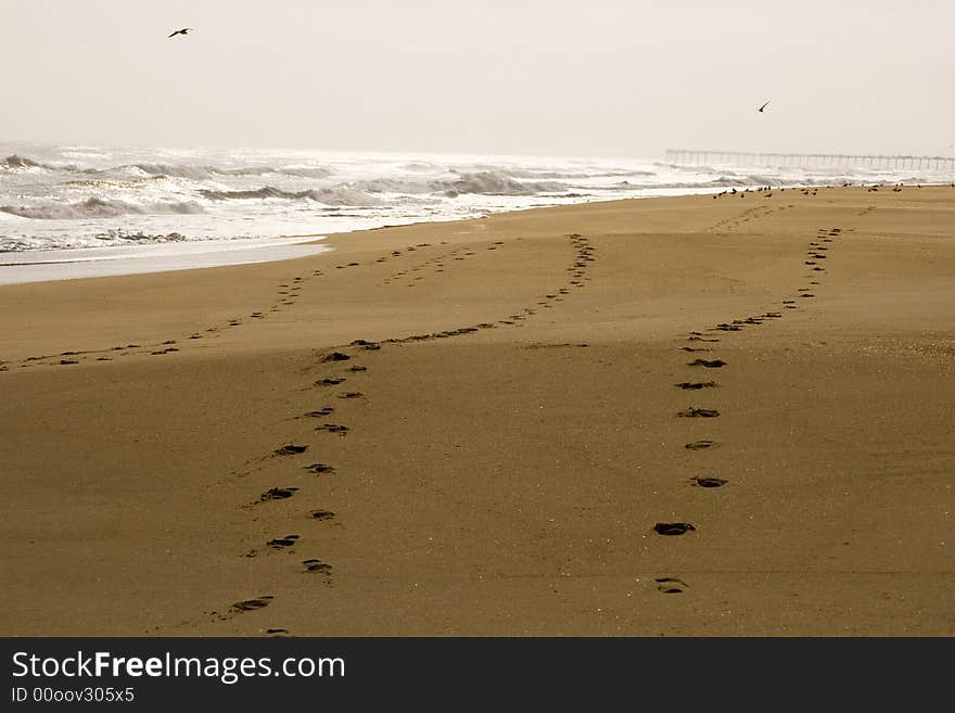 Footprints on the beach on a cloudy day