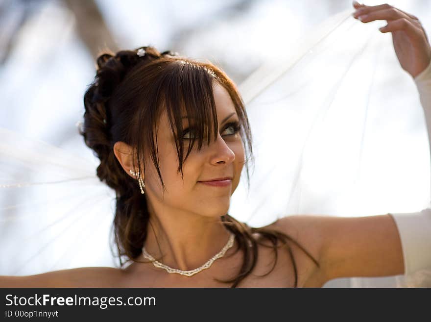 Beautiful bride in closeup, holding her veil over her head. Beautiful bride in closeup, holding her veil over her head