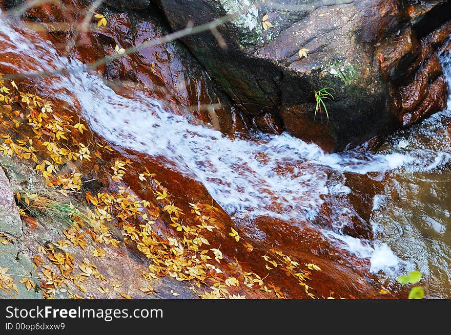 Waterfall And Leaves