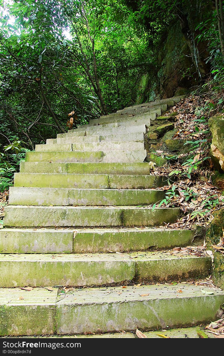 A sidestep on a hill. Trees grow besides the road.