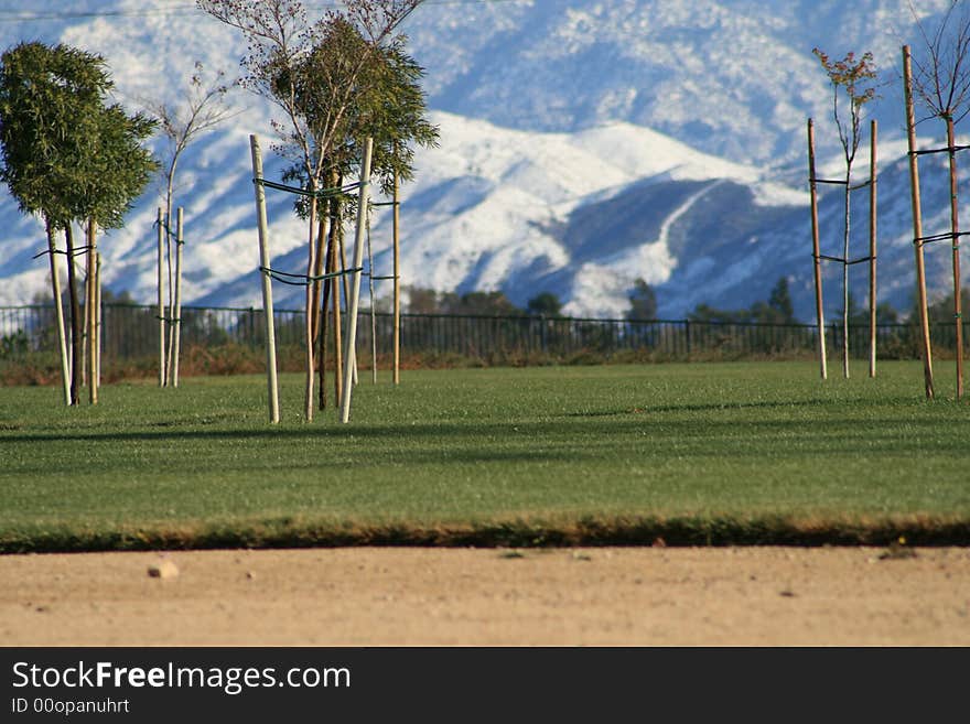 Winter wonderland and green grass. Winter wonderland and green grass