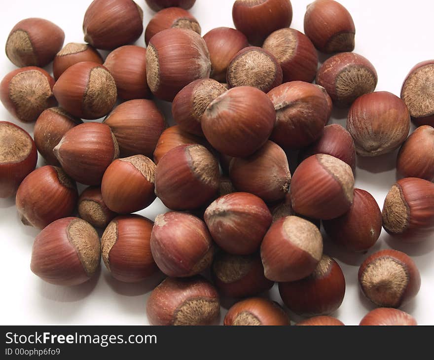 Photo of hazelnuts taken on white background.