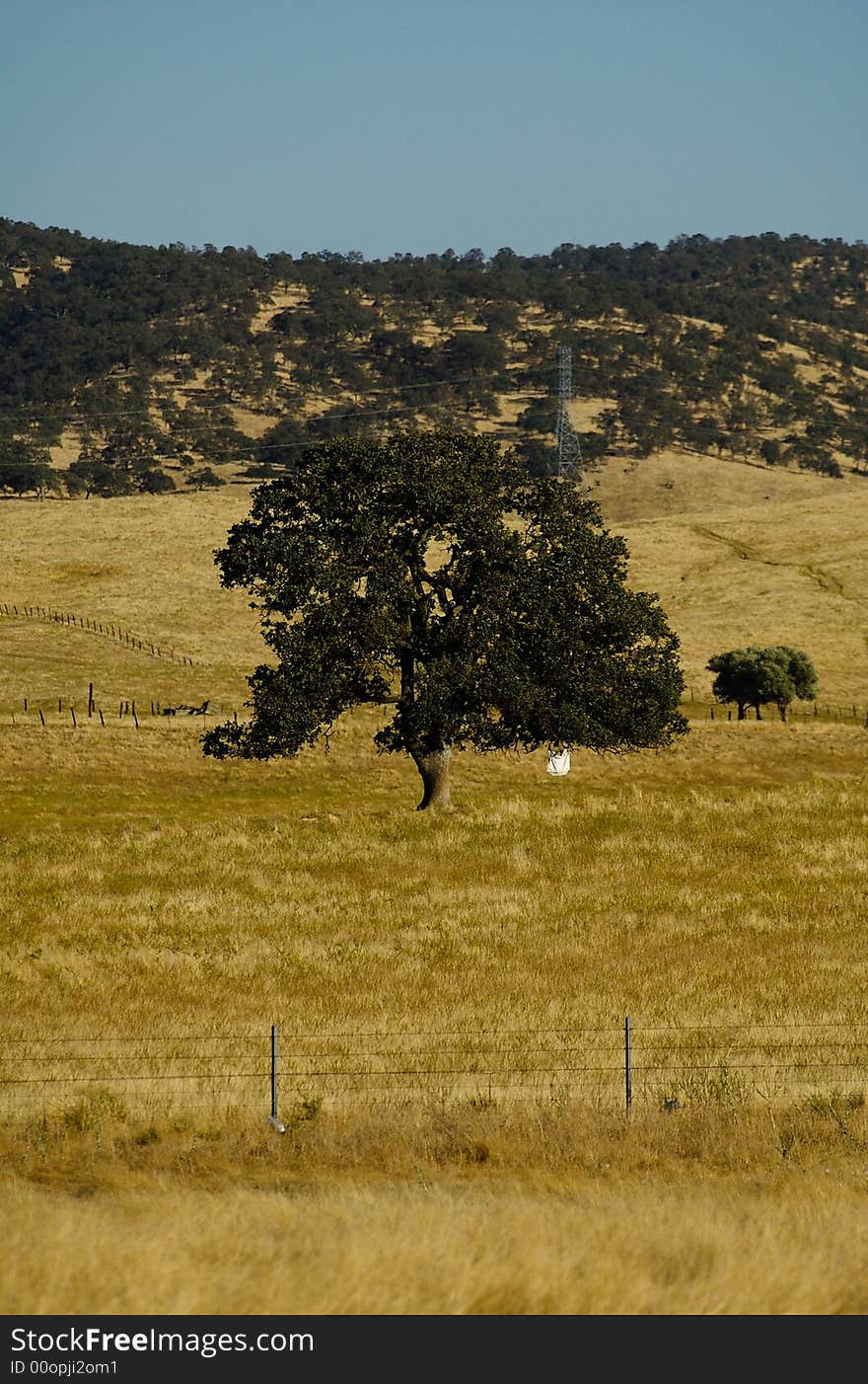 An outside, outdoors, advanture series; shot in CA and AZ