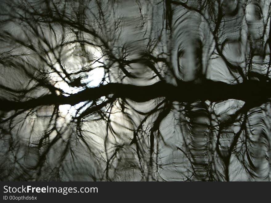 Pond Reflection