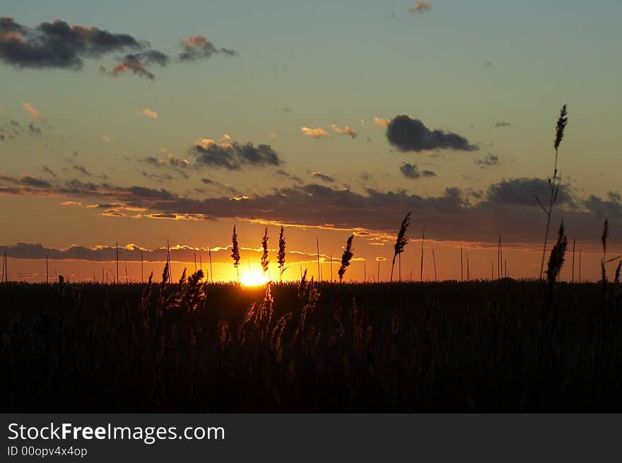 Red yellow and orange bright colorful sky. Red yellow and orange bright colorful sky