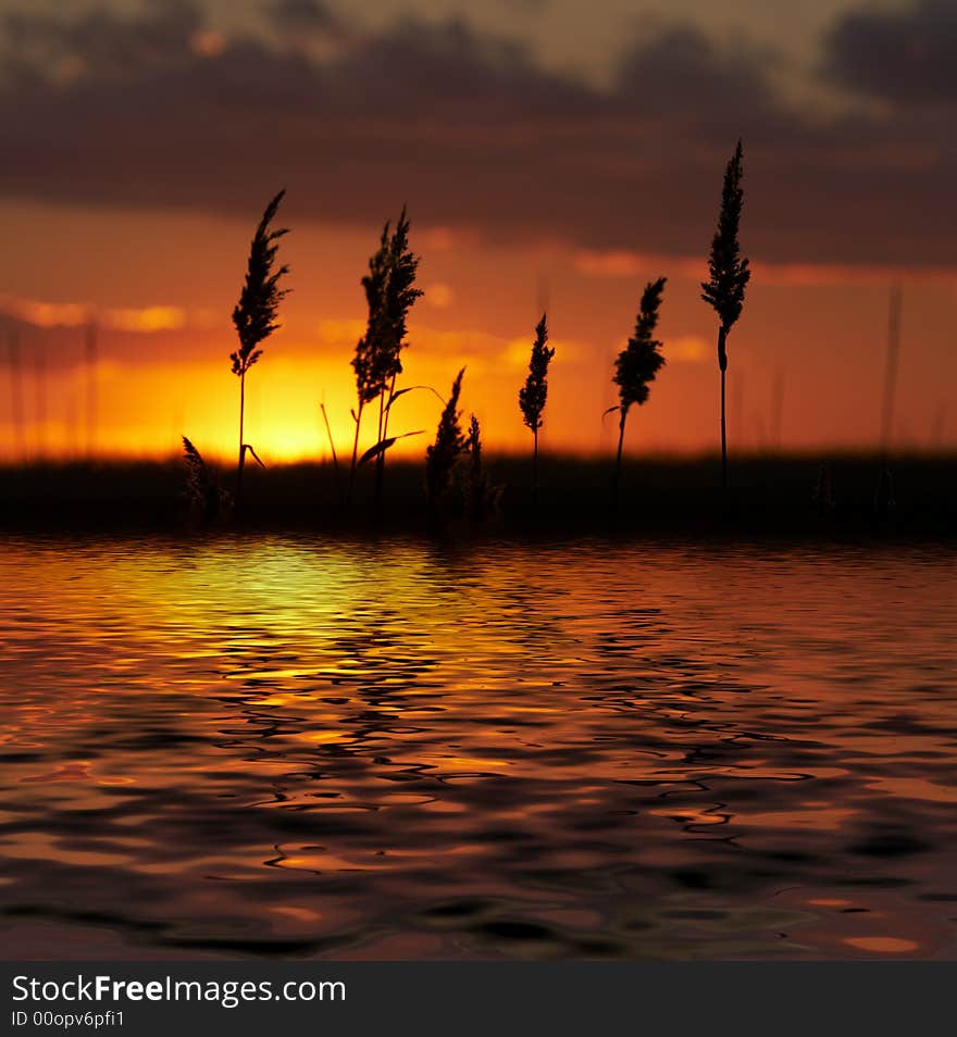 Red yellow and orange bright colorful sky. Red yellow and orange bright colorful sky