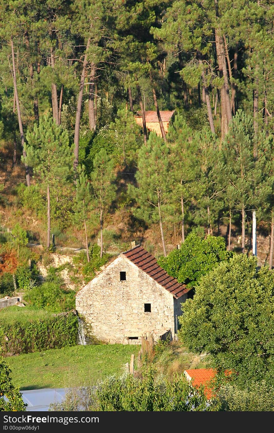 Old rustic house in the forest