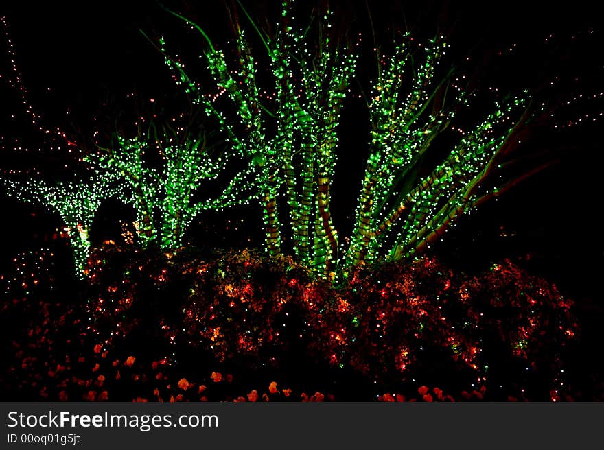 Outdoor Christmas Tree Lights Red and green