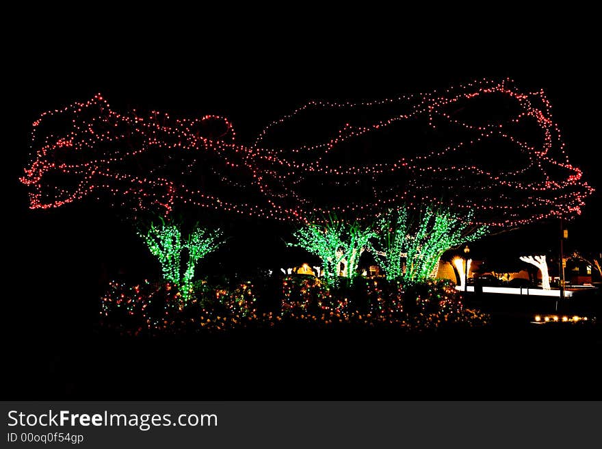 Outdoor Christmas Tree Lights