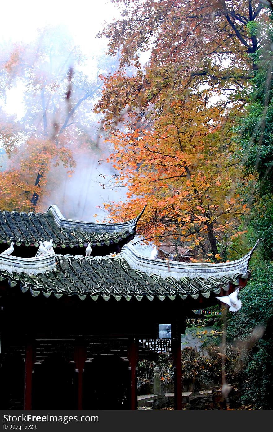 In an ancient chinese temple，I went to the back yard and took this photo. Like an oil painting,I like the colour very much. In an ancient chinese temple，I went to the back yard and took this photo. Like an oil painting,I like the colour very much.