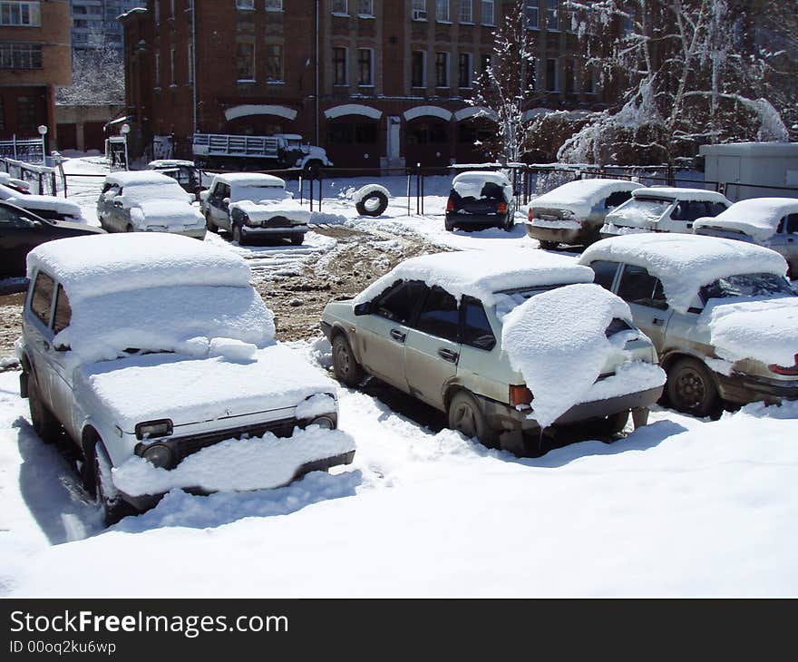 Cars covered by snow after the blizzard