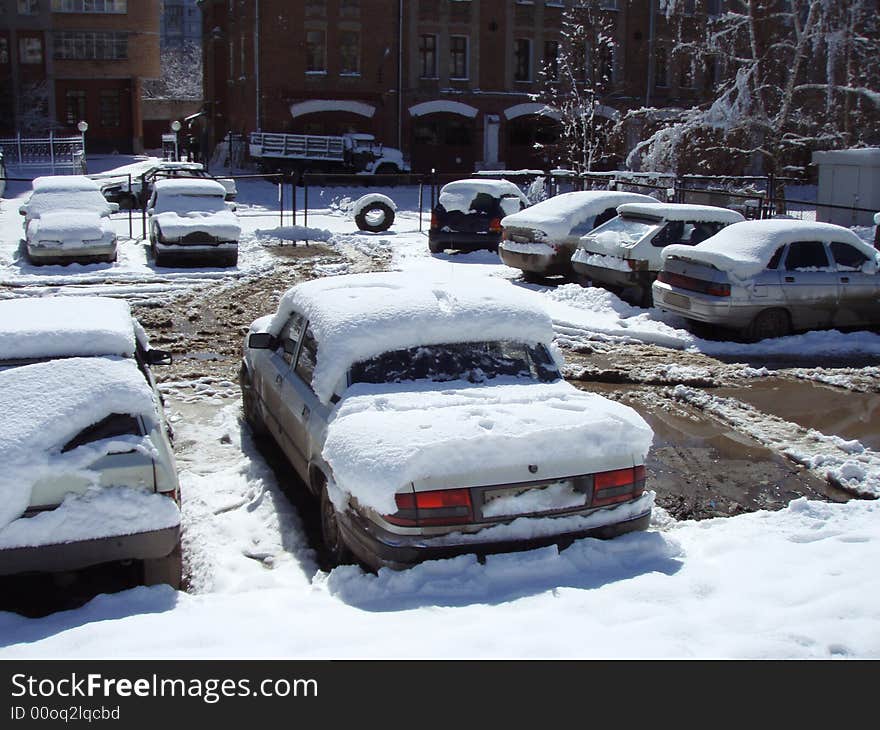 Cars covered by snow after the blizzard