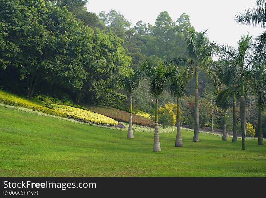 Landscape of Park