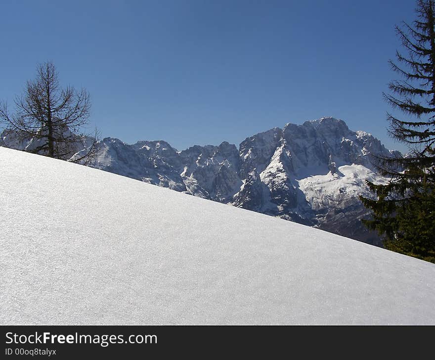 Beautiful winter mountain peaks covered in snow and fresh snow slope in front; alpine vegetation, clear blue sky day background, suitable for Christmas card. Beautiful winter mountain peaks covered in snow and fresh snow slope in front; alpine vegetation, clear blue sky day background, suitable for Christmas card