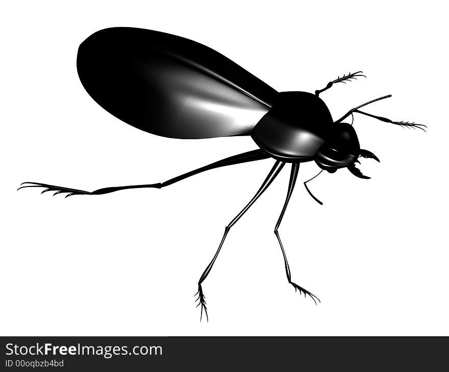 Black bug, realistick model, created with 3d max and rendered.