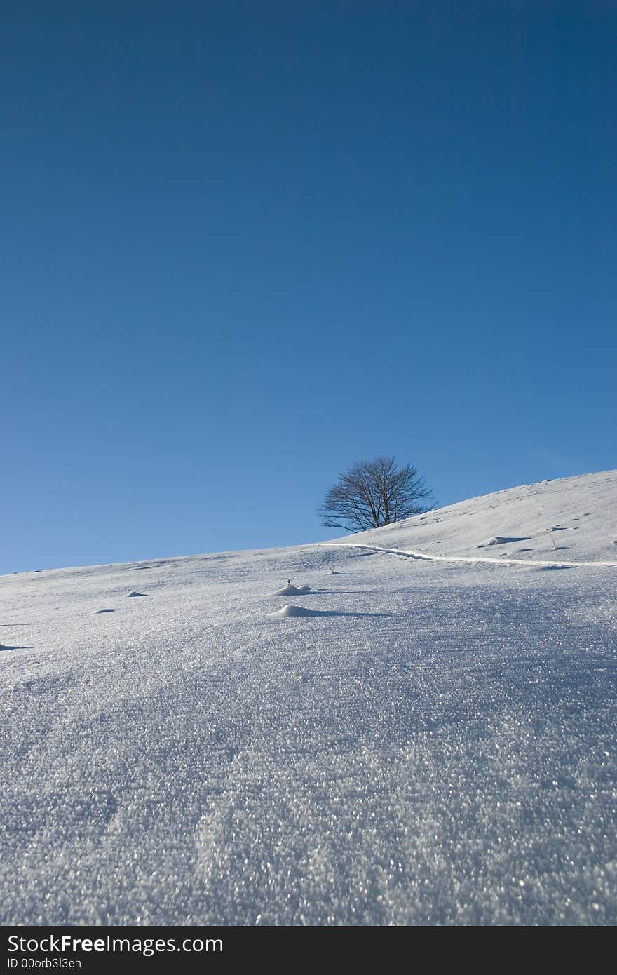 Landscape of mountain