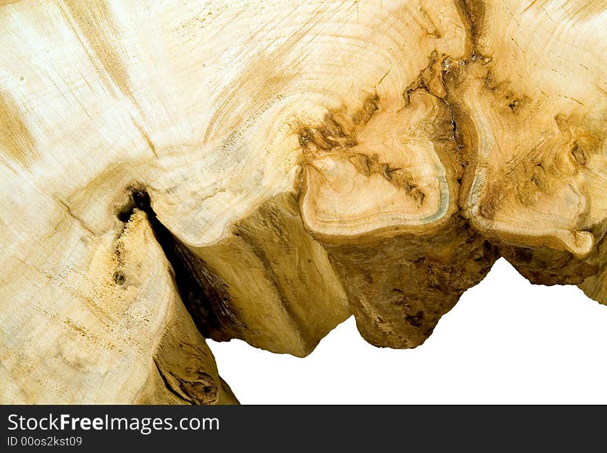 Structure of a tree.