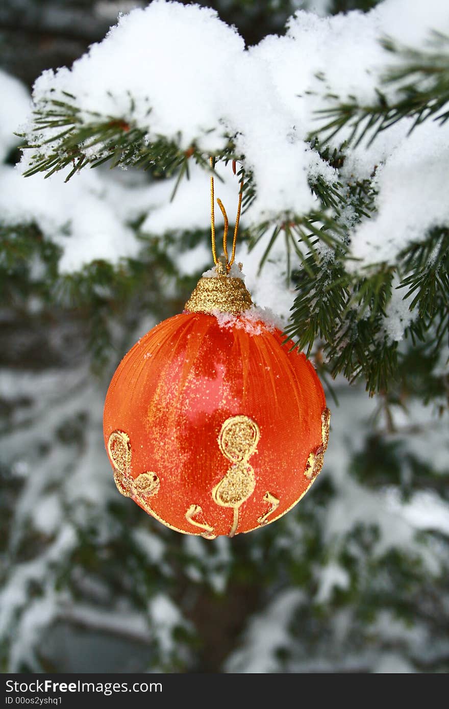 Red Christmas Ball on Pine Branch