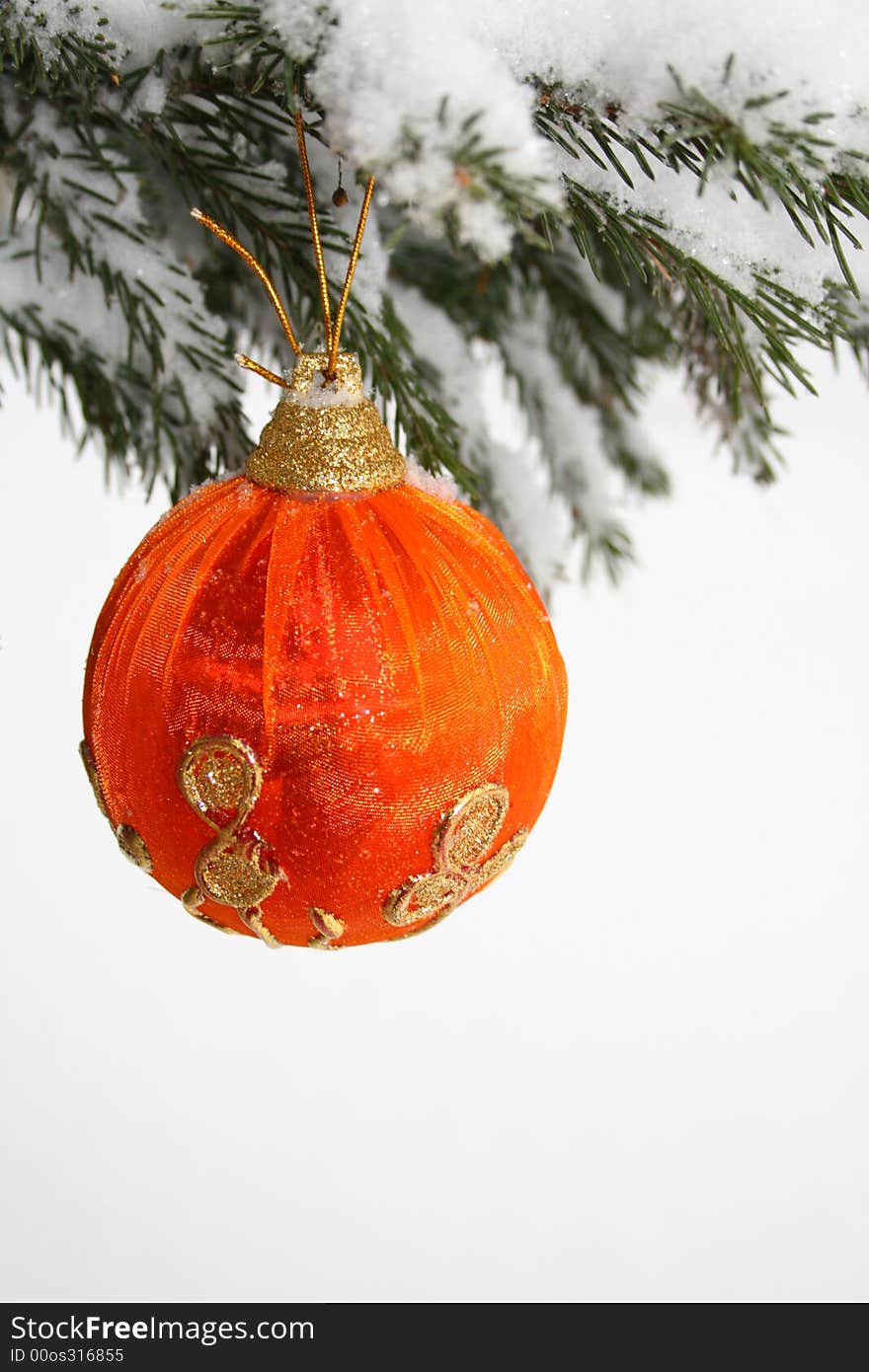 Red Christmas Ball on Pine Branch isolated