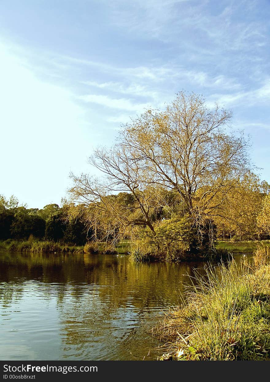 Blue lagoon water forest park with yellow and green trees  . Blue lagoon water forest park with yellow and green trees