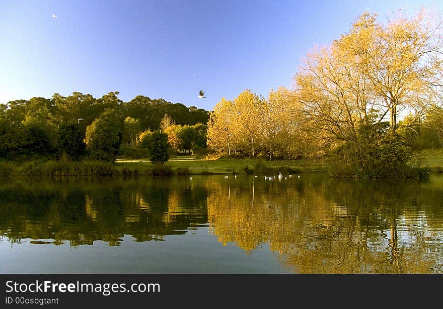 Lagoon nature