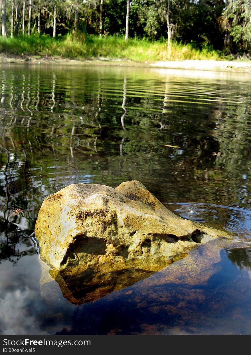 A bolder resting in an old Florida river at fish eating Creek. A bolder resting in an old Florida river at fish eating Creek.