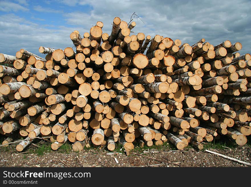 Lumber harvest in russian province, Russia. Lumber harvest in russian province, Russia