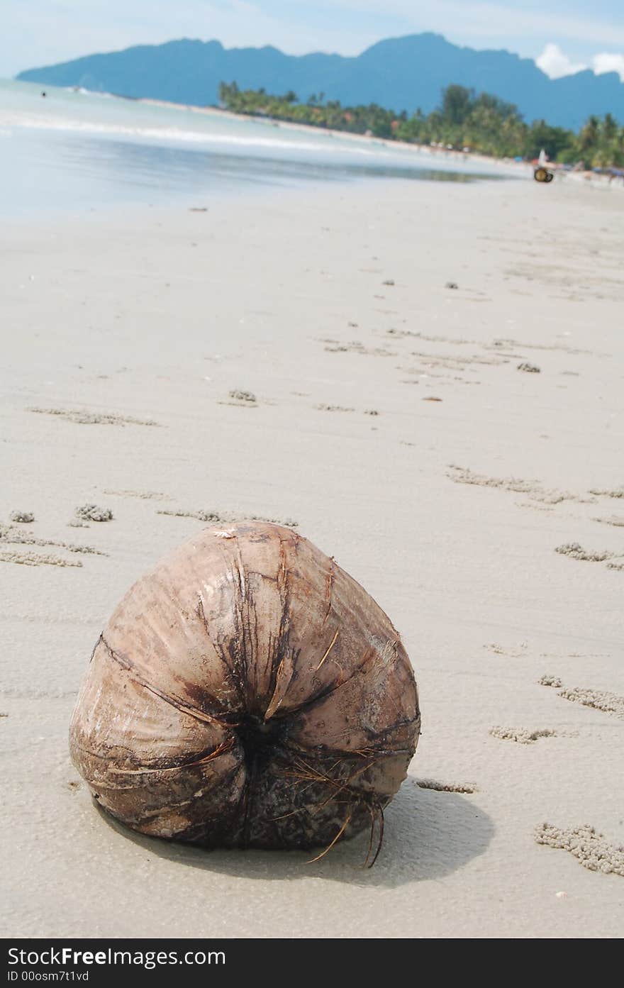 A coconut at the beach with mountain and sea as background. A coconut at the beach with mountain and sea as background.