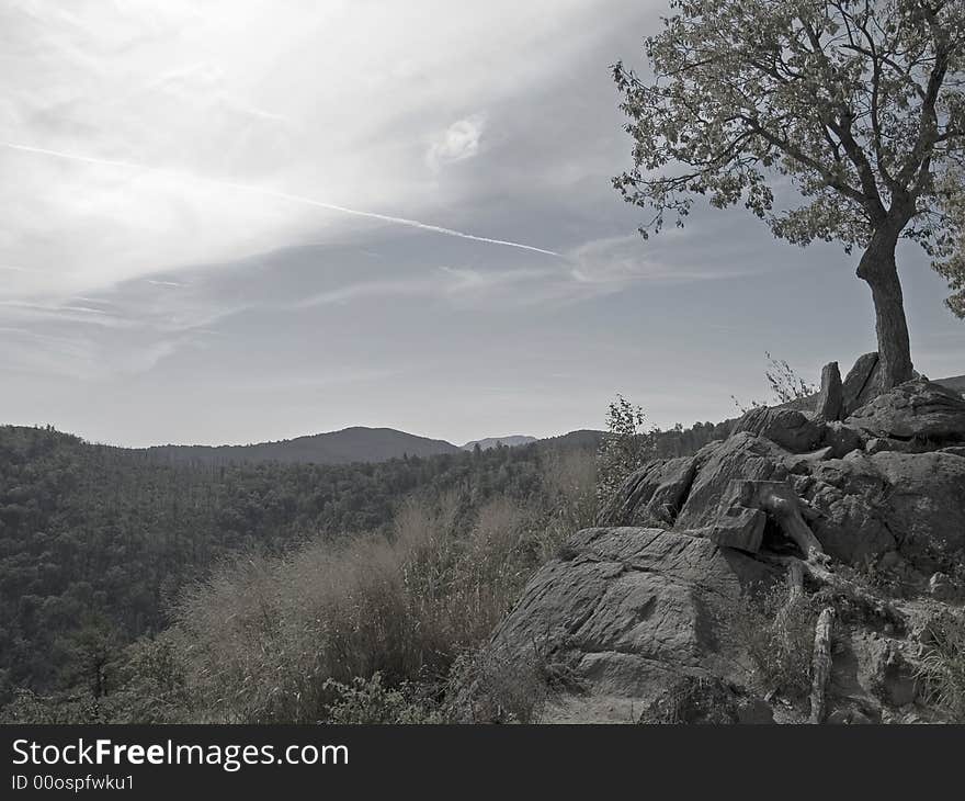 A  lightly toned black and white photograph of a lone tree on a rocky cliff overlooks Shenandoah National Park along Skyline Drive. A  lightly toned black and white photograph of a lone tree on a rocky cliff overlooks Shenandoah National Park along Skyline Drive.