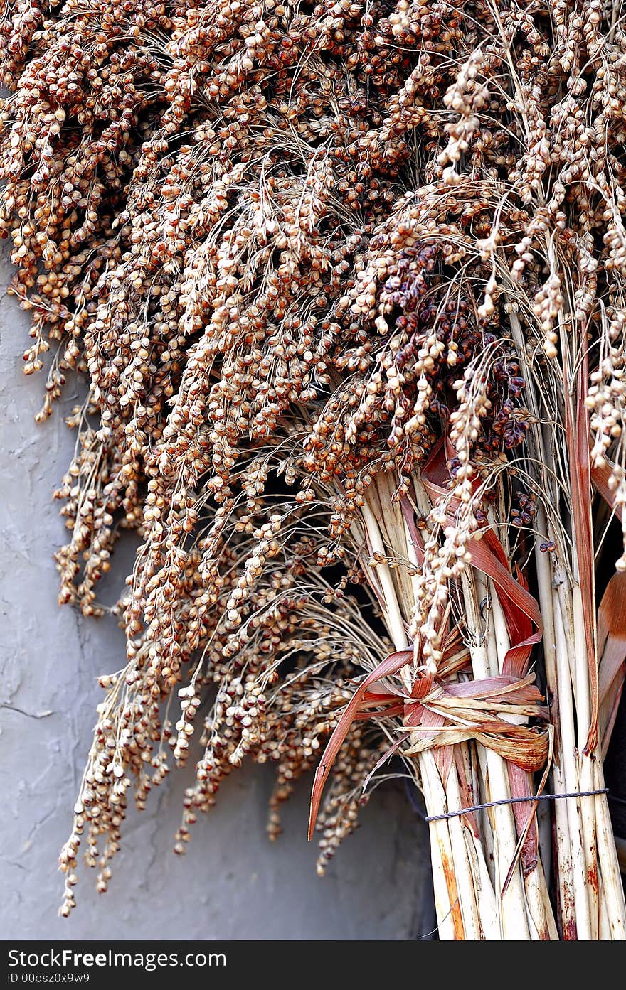 A truss of broomcorn lies on the wall.