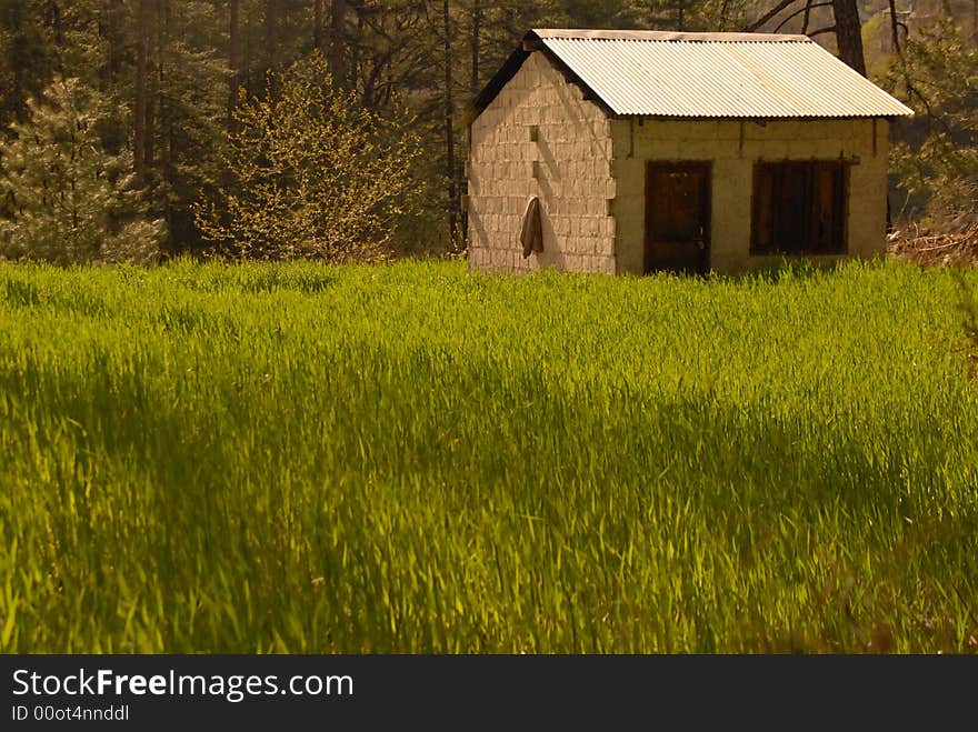 A small house in a rice fiels. A small house in a rice fiels.