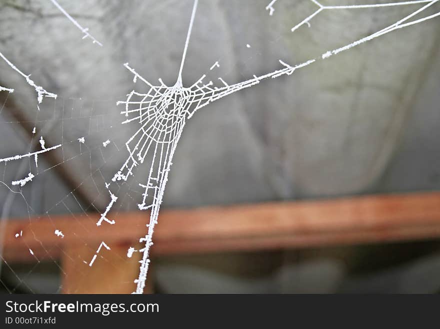 Spiderweb under a old shed on a cold day. Spiderweb under a old shed on a cold day