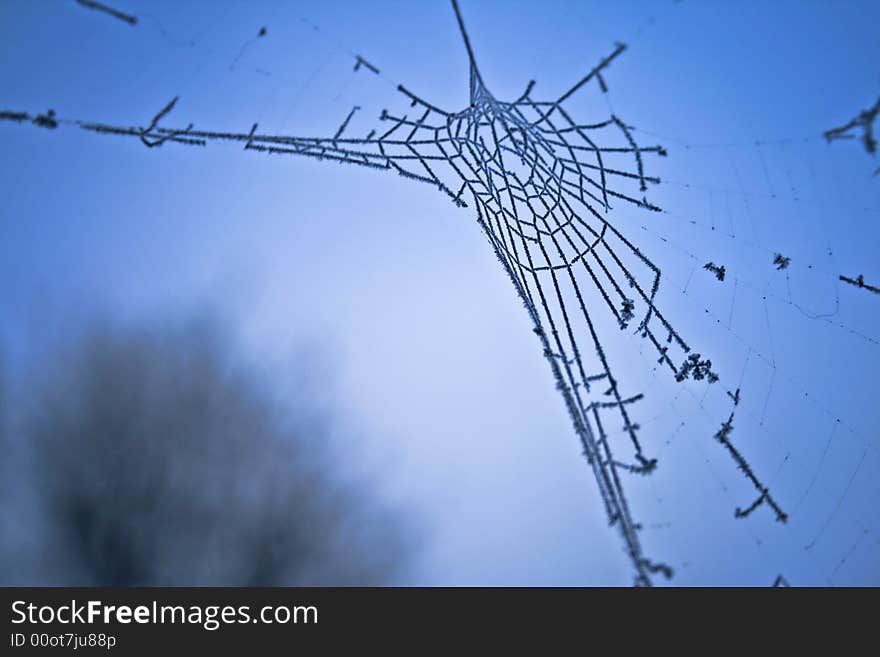 Spider web in the morning of a cold december day. Spider web in the morning of a cold december day