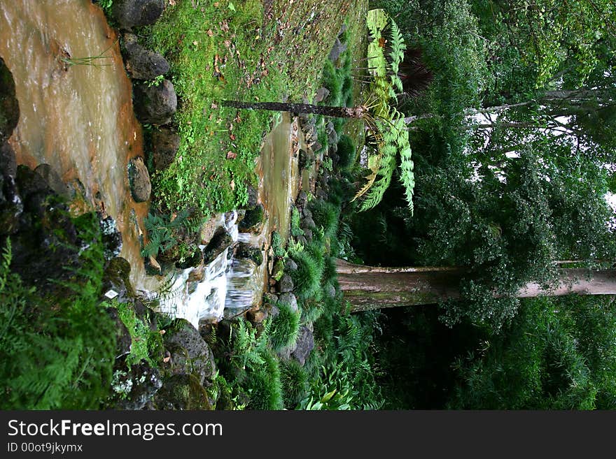 Furnas botanical garden, San Miguel island, Azores. Furnas is a stratovolcano with two calderas which date back to approximately 30,000 years ago.