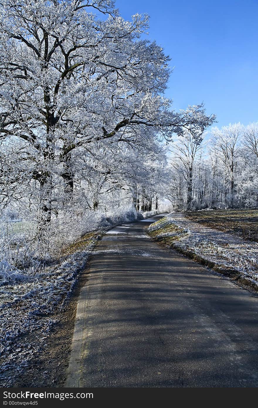 Winter landscape an icy road