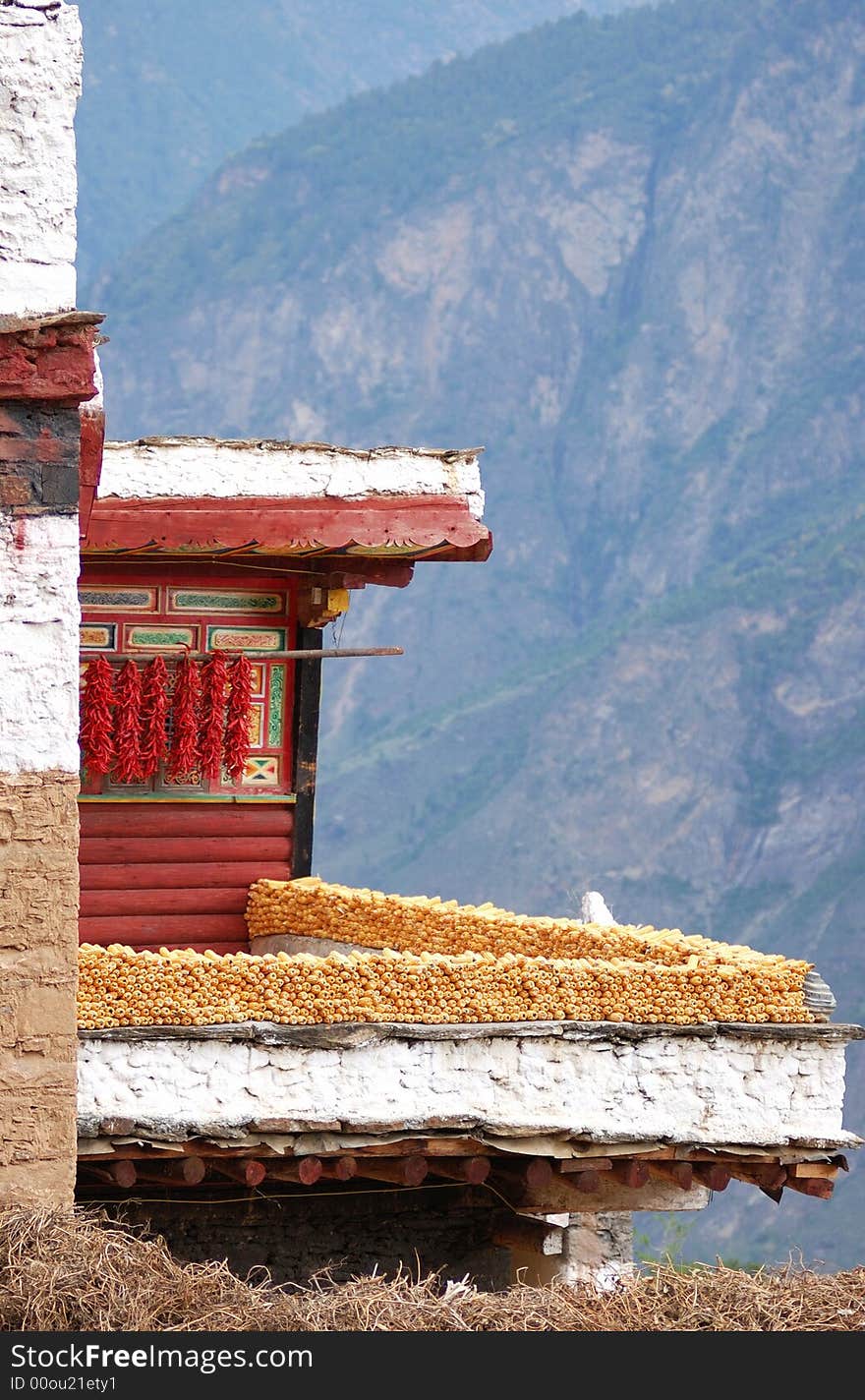 A lot of corns are cumulated on a roof. A lot of corns are cumulated on a roof.