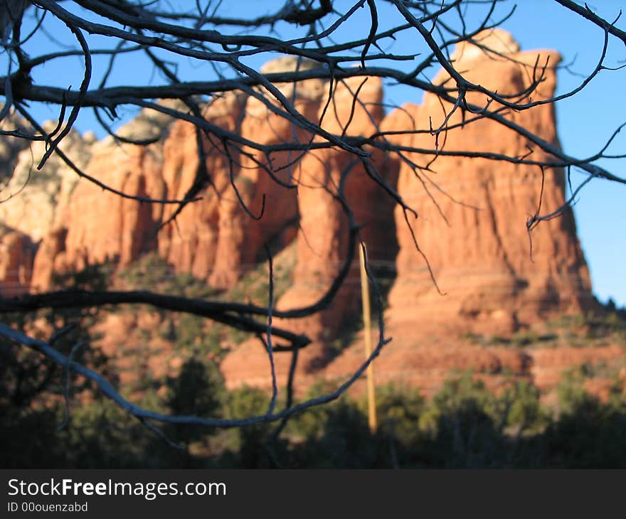 Peeking through the branchs of a shaggy bark juniper tree we see sedona's famous chickenhead rock, also called coffepot. Peeking through the branchs of a shaggy bark juniper tree we see sedona's famous chickenhead rock, also called coffepot.