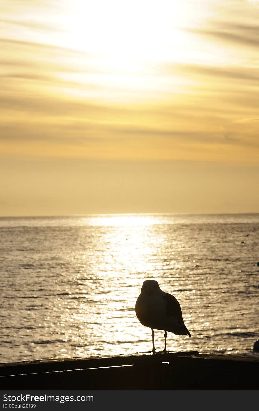 Sunrise In Santa Cruz