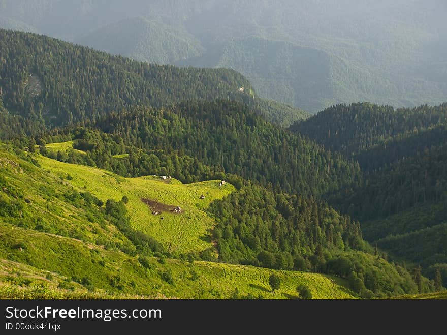 Mountains in summer