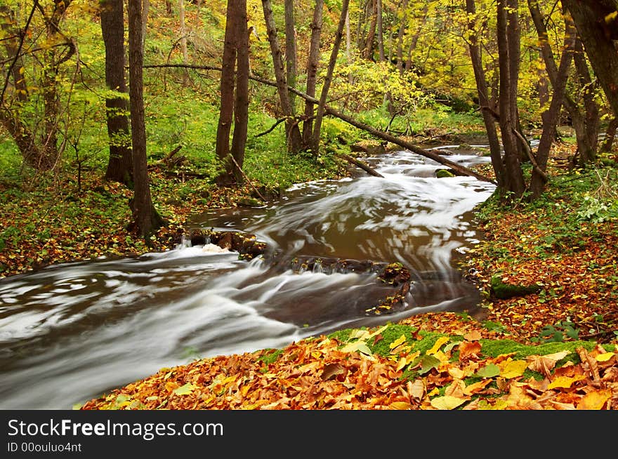 An image of river in autumn forest. An image of river in autumn forest