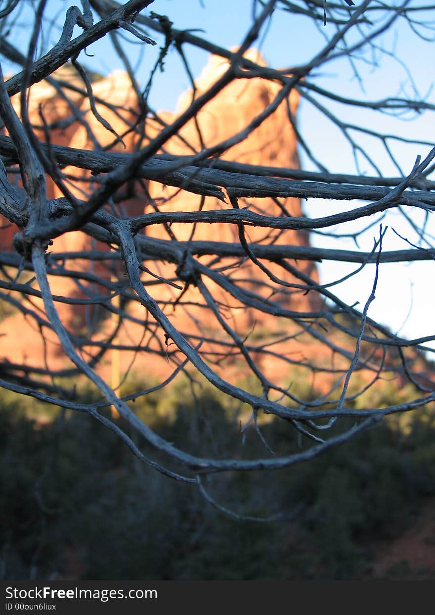 coffee pot rock is visable through shaggy bark juniper branches. coffee pot rock is visable through shaggy bark juniper branches.