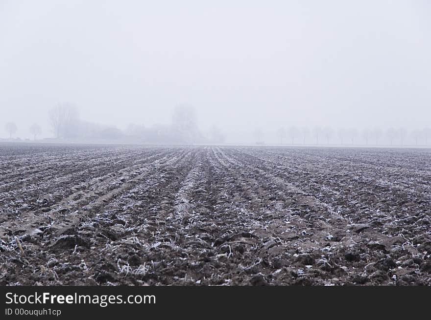 Winter Scene