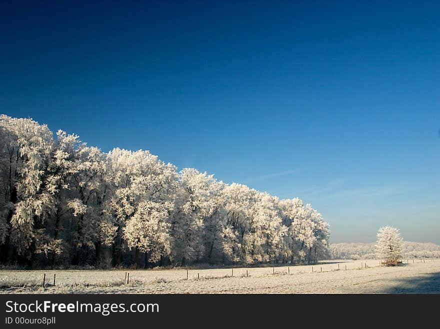 Sunny winter morning