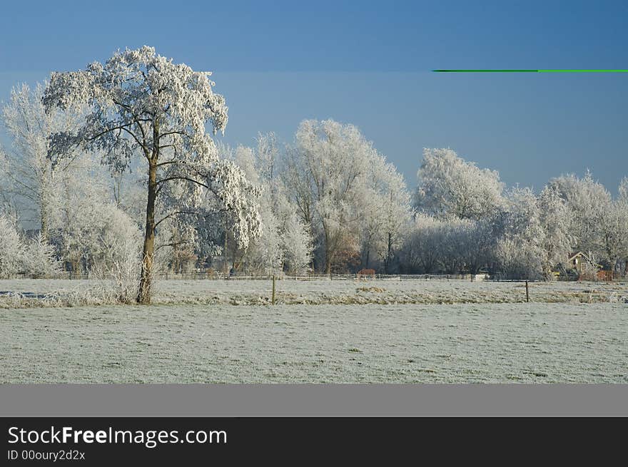 Ice covered field under clear sky. Ice covered field under clear sky