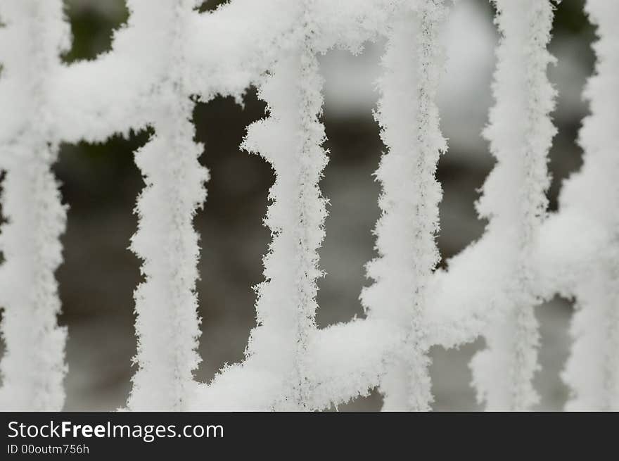 Snowy Fence